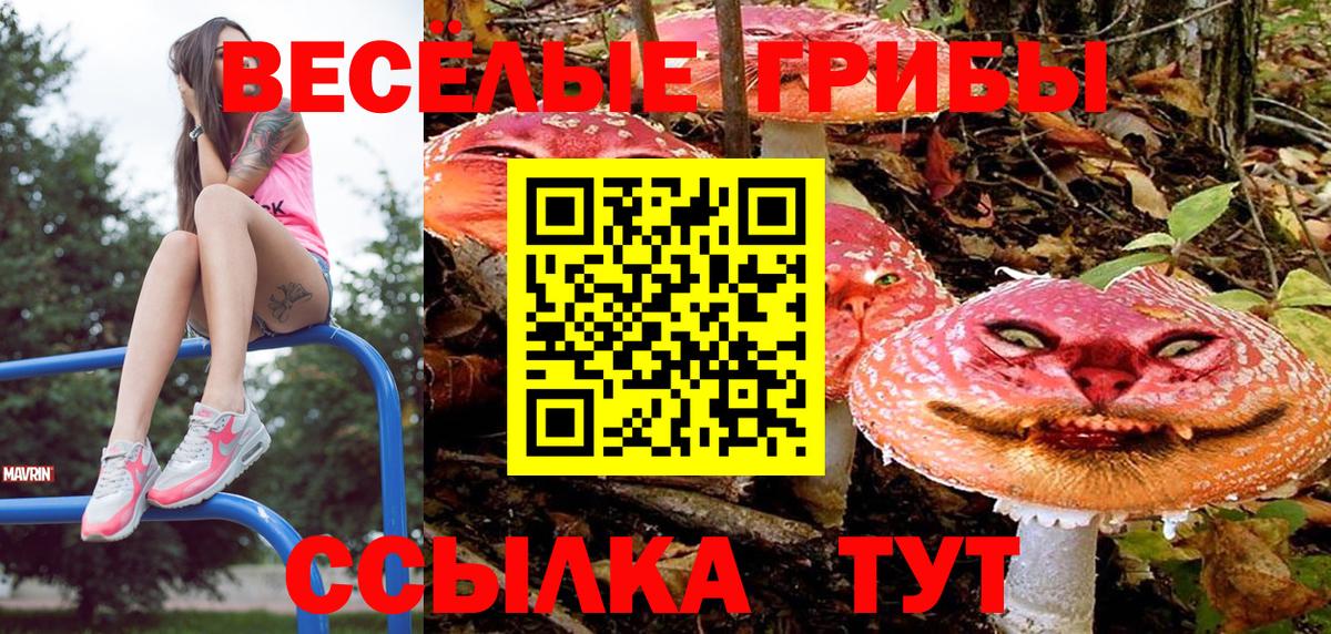 Карталы  Псилоцибиновые грибы ЛСД  Вход с VPN  Галлюциногенные грибы прущие грибы 
